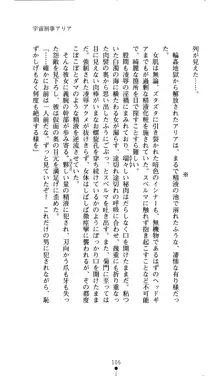 二次元ドリームノベルズ外伝3 白百合の剣士 堕つ, 日本語