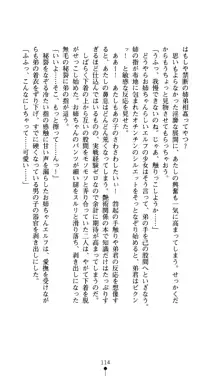 二次元ドリームノベルズ外伝3 白百合の剣士 堕つ, 日本語