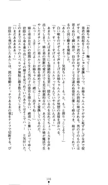 二次元ドリームノベルズ外伝3 白百合の剣士 堕つ, 日本語