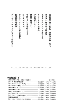 二次元ドリームノベルズ外伝3 白百合の剣士 堕つ, 日本語