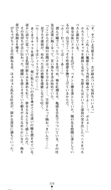 二次元ドリームノベルズ外伝3 白百合の剣士 堕つ, 日本語