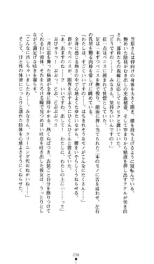 二次元ドリームノベルズ外伝3 白百合の剣士 堕つ, 日本語