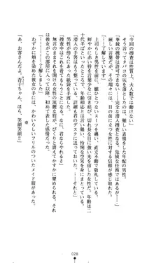 二次元ドリームノベルズ外伝3 白百合の剣士 堕つ, 日本語