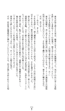 二次元ドリームノベルズ外伝3 白百合の剣士 堕つ, 日本語