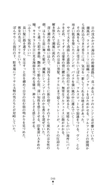 二次元ドリームノベルズ外伝3 白百合の剣士 堕つ, 日本語