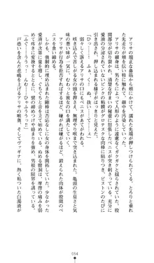 二次元ドリームノベルズ外伝3 白百合の剣士 堕つ, 日本語