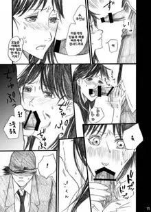 Nanase Shoujo no Jikenbo Case 4 Miyuki 2-ana Tanetsuke Eikyuu Dorei Hen, 한국어