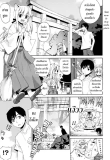 Nuko Miko-tan ch1-4, ไทย