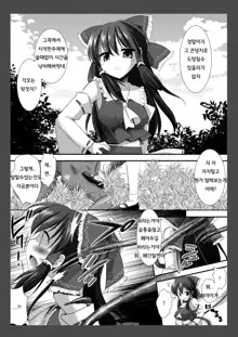 Touhou Ryoujoku 8, 한국어