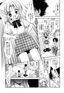 ふくらみかけの処女たち, 日本語