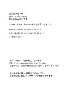 ある提督の一日, 日本語