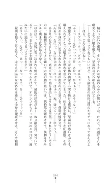 陰陽生徒会 淫呪の鎖, 日本語