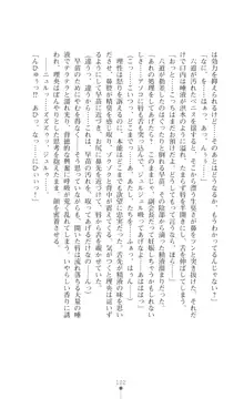 陰陽生徒会 淫呪の鎖, 日本語