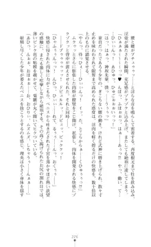 陰陽生徒会 淫呪の鎖, 日本語