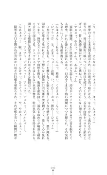 陰陽生徒会 淫呪の鎖, 日本語