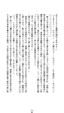 聖輪の浄魔士 葉月, 日本語