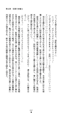 聖輪の浄魔士 葉月, 日本語