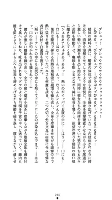 聖輪の浄魔士 葉月, 日本語