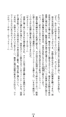 聖輪の浄魔士 葉月, 日本語