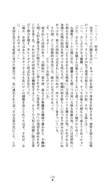 ドールマスター麗蘭 淫舞の操り人形, 日本語