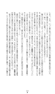 ドールマスター麗蘭 淫舞の操り人形, 日本語