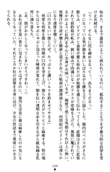 怪盗王女シャーロッテ 淫縛の円舞曲, 日本語