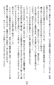 怪盗王女シャーロッテ 淫縛の円舞曲, 日本語