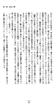 くノ一淫舞伝 霧音 闇の風に抜忍散る, 日本語