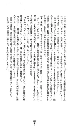 くノ一淫舞伝 霧音 闇の風に抜忍散る, 日本語