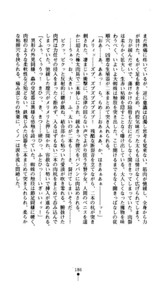 くノ一淫舞伝 霧音 闇の風に抜忍散る, 日本語