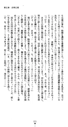 くノ一淫舞伝 霧音 闇の風に抜忍散る, 日本語