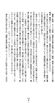 くノ一淫舞伝 霧音 闇の風に抜忍散る, 日本語