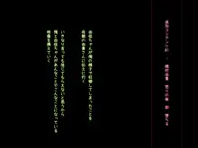 俺の人生スーパーイージーモード, 日本語