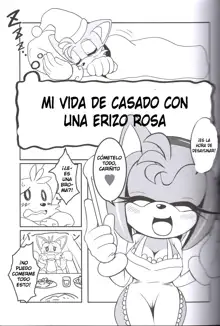 Kemono no Kanzume 3, Español