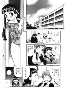 びんかん娘, 日本語