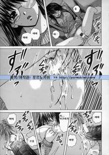 Yumemiru Shoujo ~ The Girl who Dreams ~, 한국어