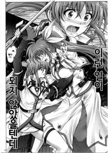 Nanoha-san ga Fukaku o Totta!, 한국어