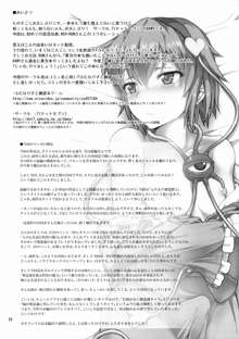 ふたなりすと東方, 日本語