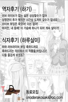 Kotori no Kusuri, 한국어