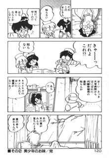 だいたん看護婦さん, 日本語