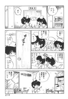 だいたん看護婦さん, 日本語