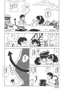 だいたん看護婦さん, 日本語