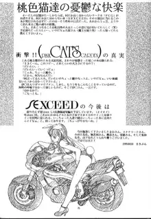 SEXCEED Ver4.1, 日本語