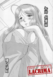 Onee-chan Sensei Nijigenme, 한국어