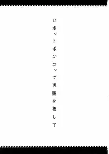 あの素晴らしいπをもう一度r2, 日本語