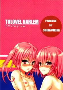 TOLOVEL HARLEM, 日本語