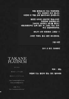 TAKANE PLATINUM, 한국어