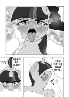 if MOSHIMO PONY, 한국어