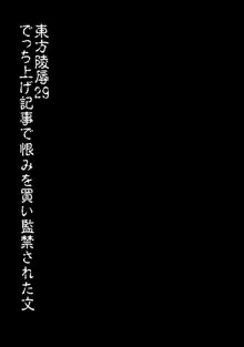 東方陵辱29 でっち上げ記事で恨みを買い監禁された文, 日本語