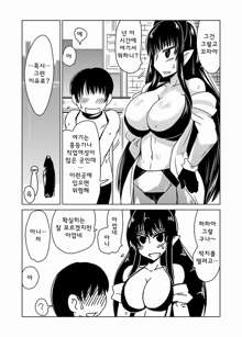 Succubus-san no Fudeoroshi. | 서큐버스씨의 첫경험, 한국어